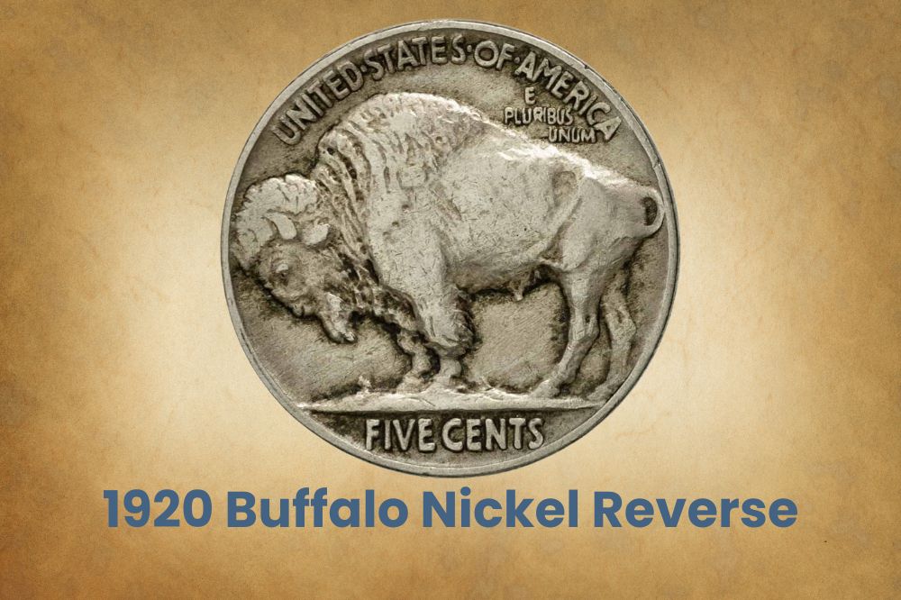 7 Different Buffalo Nickels of the Roaring 1920s - Good/Very Good